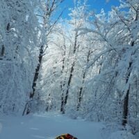 Hiking the Trail